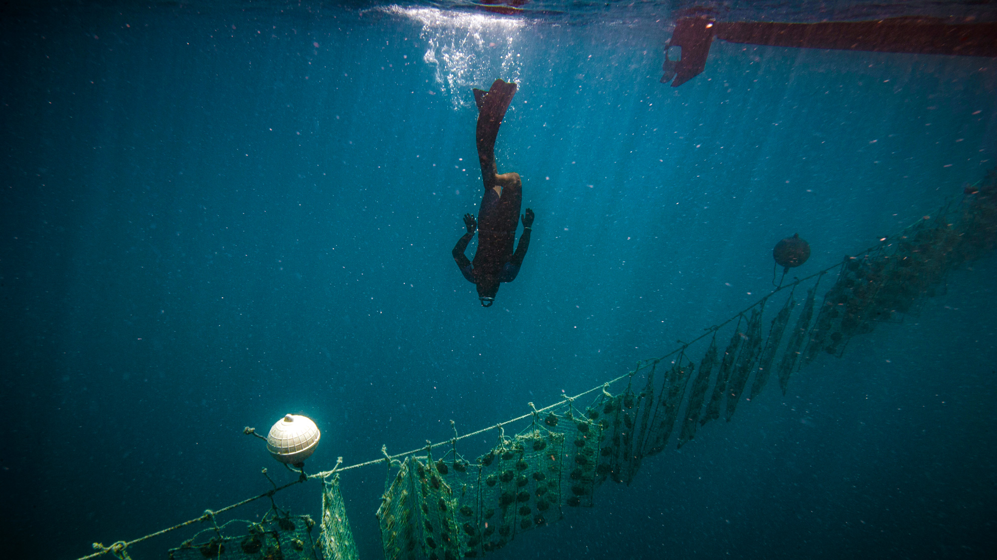 Sailing the Gambier archipelago Yachting World