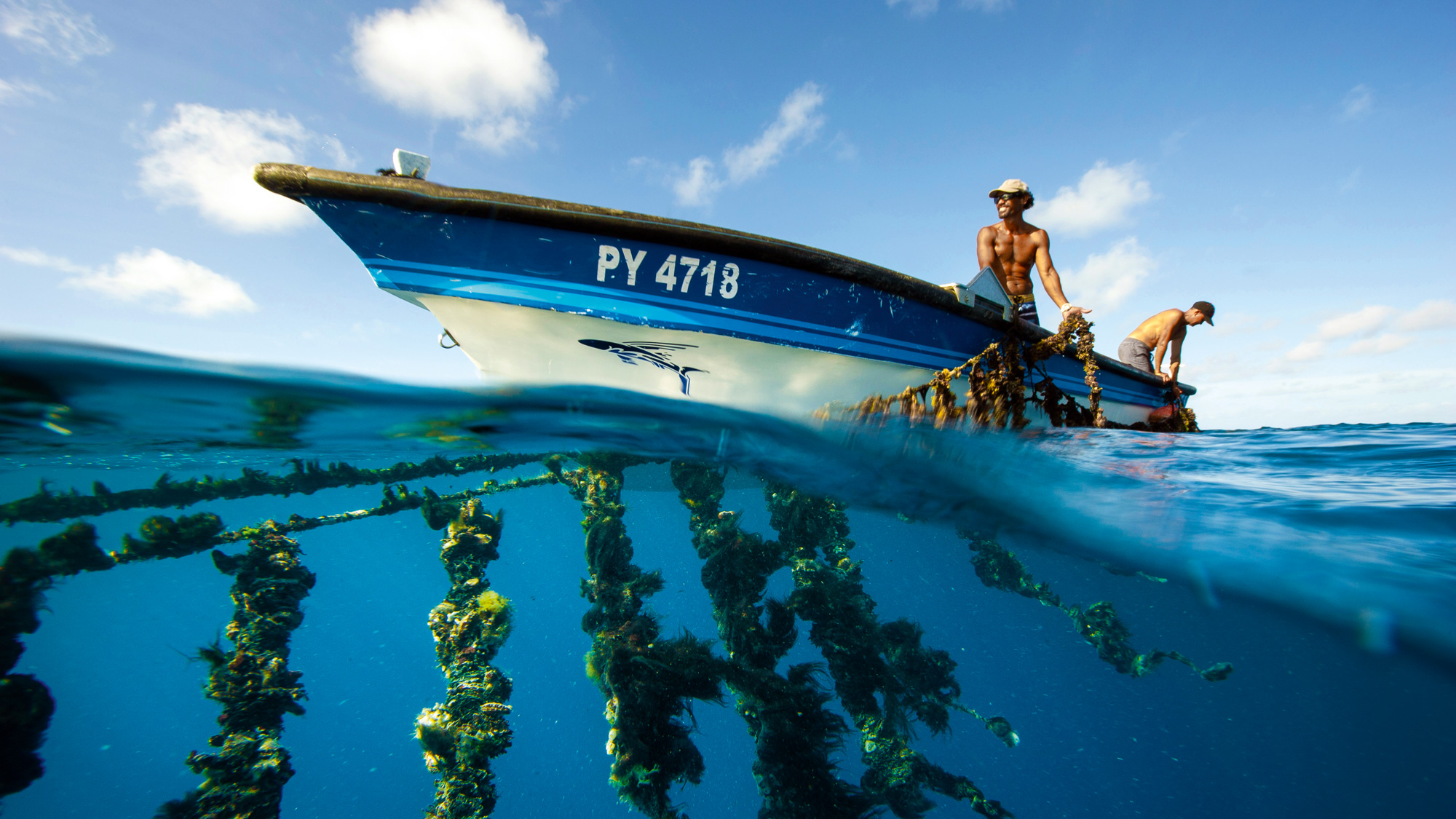 Sailing the Gambier archipelago Yachting World