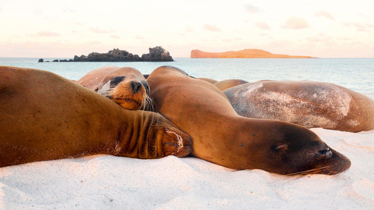 Sailing The Galapagos Islands Passage Nautical