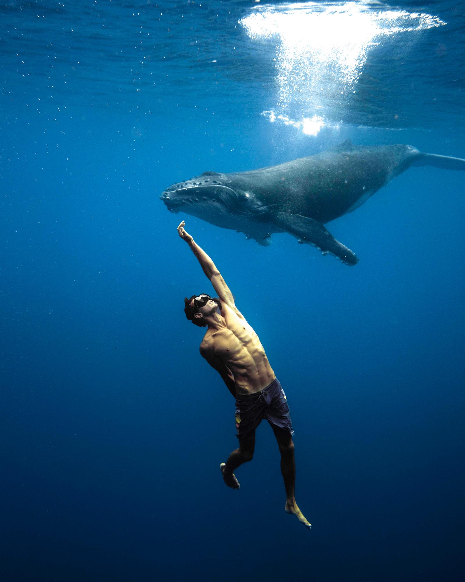 Unbelievable! See How Tiny Humans Are Next To Whales - g0y2oi8