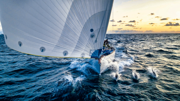 Silky smooth sailing and dolphins for company.