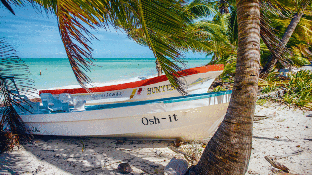 Yucatan beaches fringed with palm trees and painted, tongue-in-cheek-named fishing boats