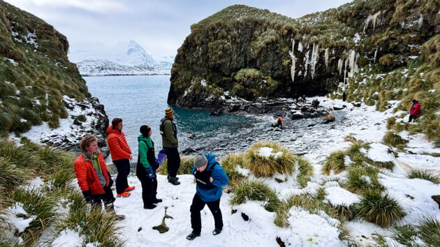 Icicles hang above the ‘cave’ of Cave Cove in King Haakon Bay