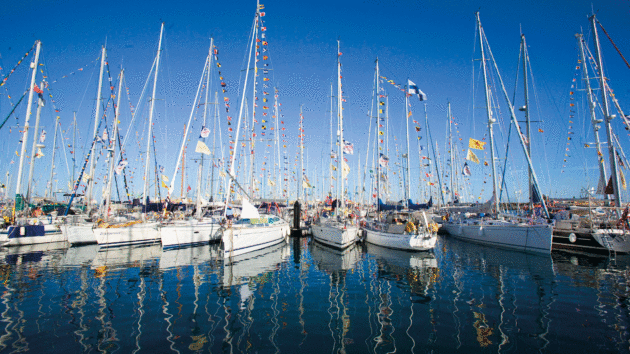 Yachts in a marina