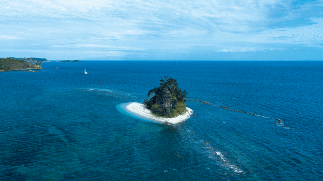 aerial view of tropical sea with a little island in it
