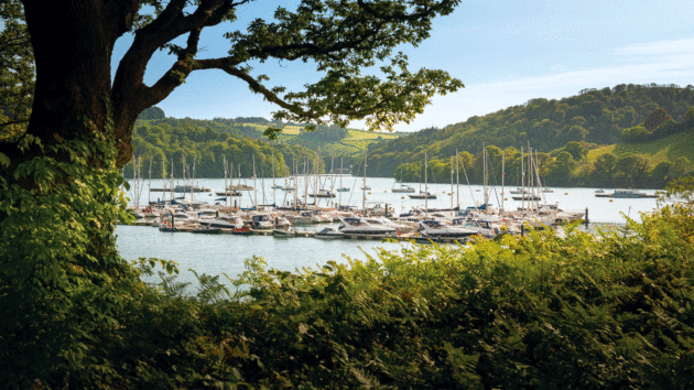Noss on Dart Marina.