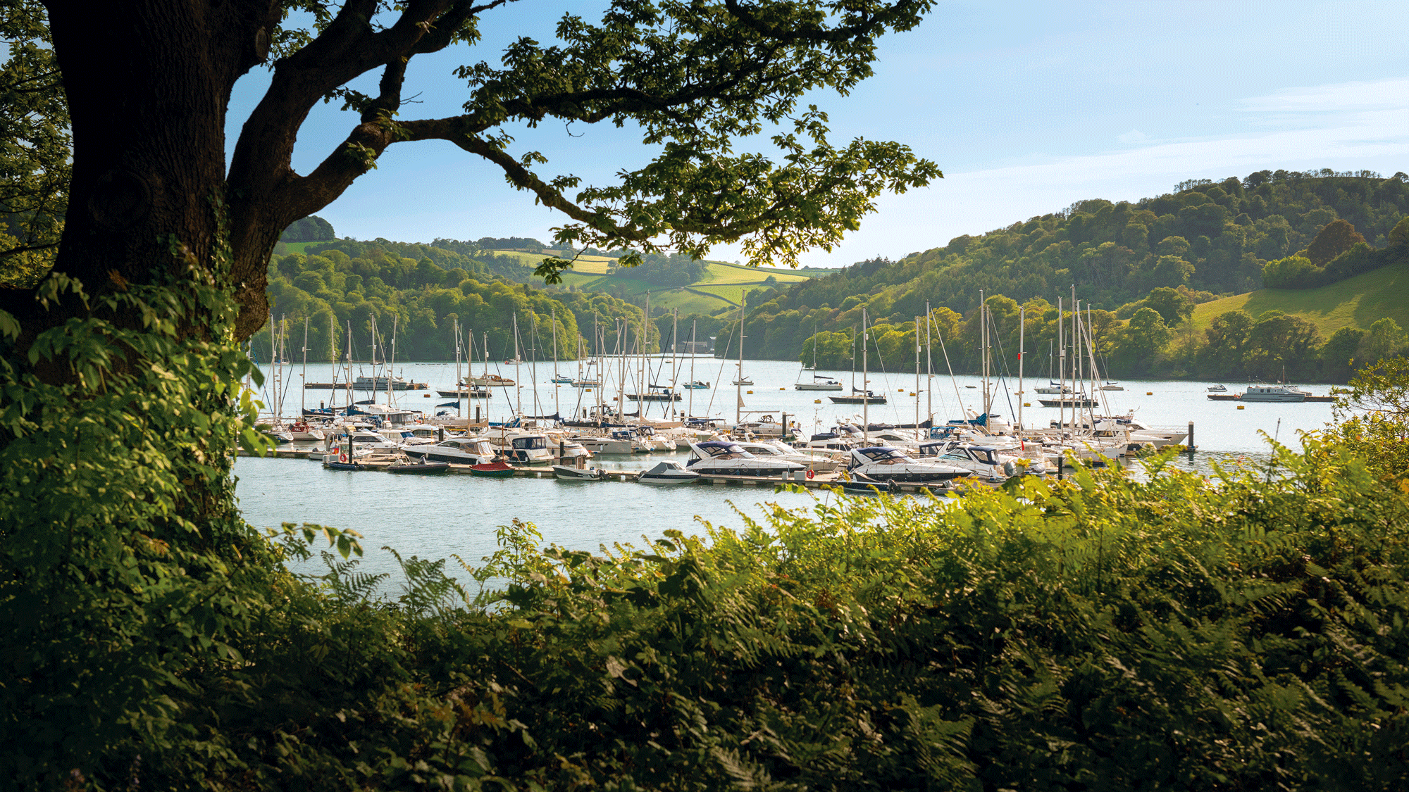 How to find the right berth for your yacht: what to look for in a marina