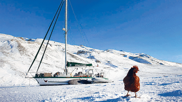 The red hen on ice with the yacht in the background