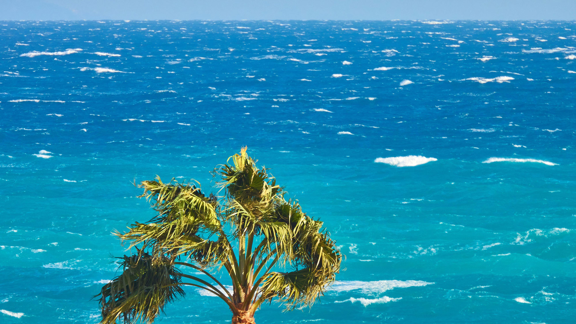 Understanding and making the most of sea breezes