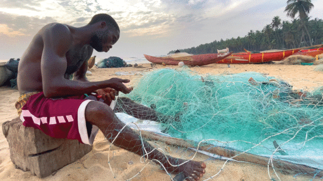 a fisherman tends to his nets at Bullom Town Point