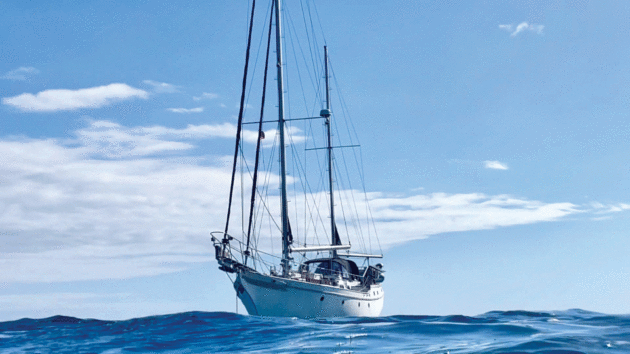 Rebels the yacht