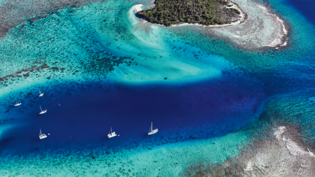 Aerial view of yachts