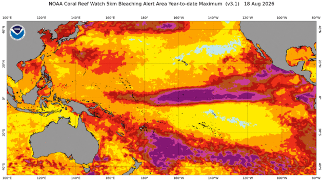 Pacific sea temperature surges in August 2026