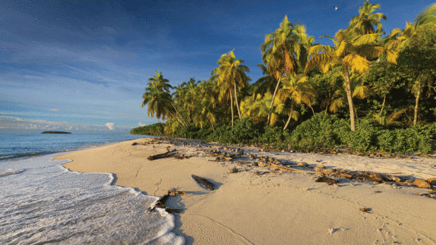 Archetypal palm-fringed beach on Fouquet Island in the Chagos Archipelago