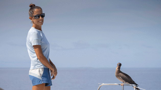 brown booby perches on Polaris at Salomon
