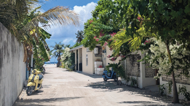 White sand-covered village street in Goidhoo Atoll