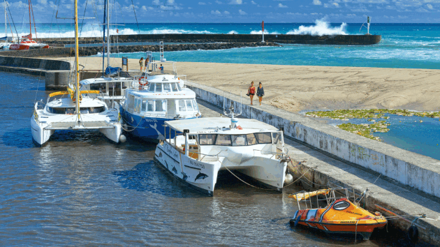 Marina with catamarans
