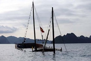 boat sinks at party