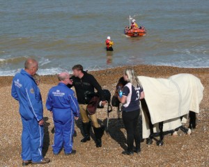Horse rescue