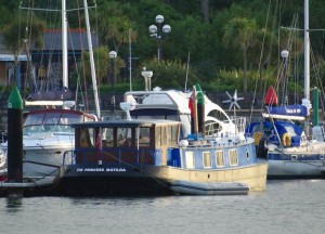 princess matilda