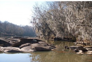 saluda river