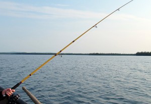 fishing