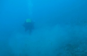 diver