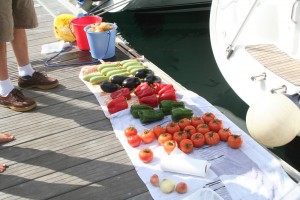 ARC 2012 prep
