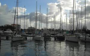 Jolly Harbour, Antigua
