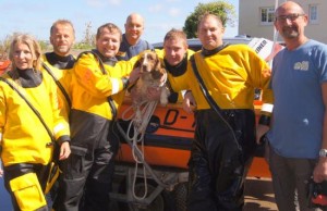 Dog rescue