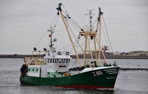 Z85 Morgenster