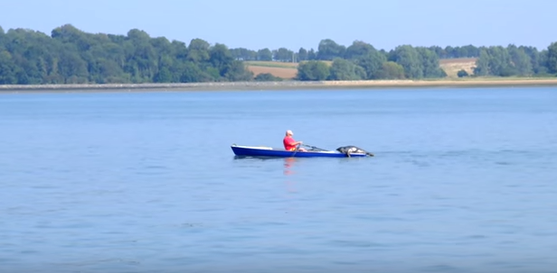 Seal jumps aboard boat