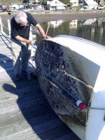 Antifouling Environmental Sailing Guide