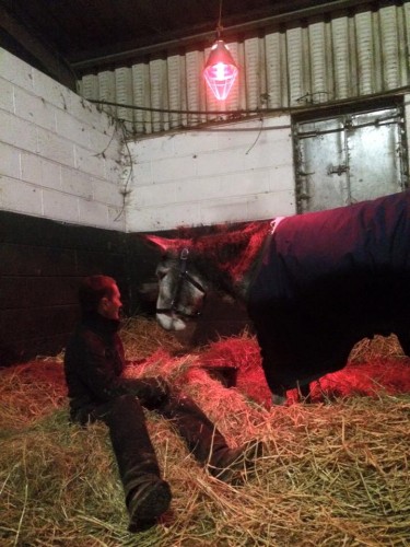 Donkey rescued from flood