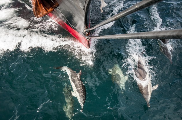 Stad Amsterdam Clipper