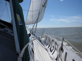 kingfisher boat at sea