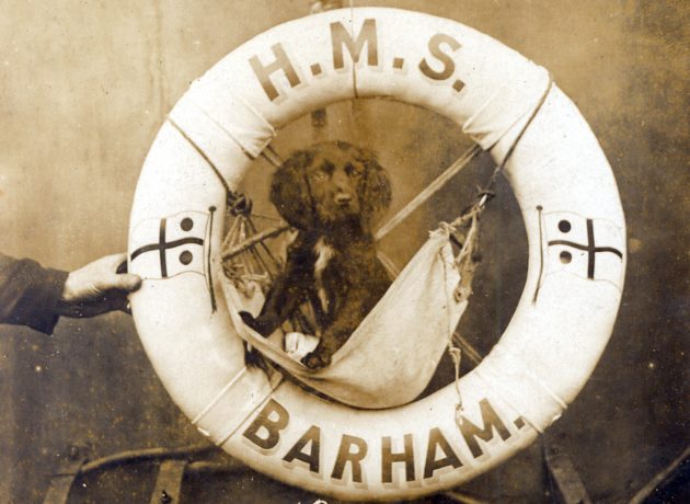 Battle of Jutland HMS Barham