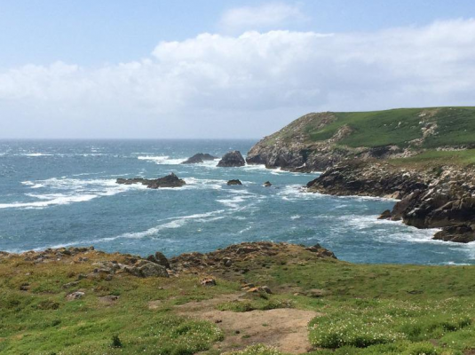 Saltee Islands. Jillian capsized near to the islands