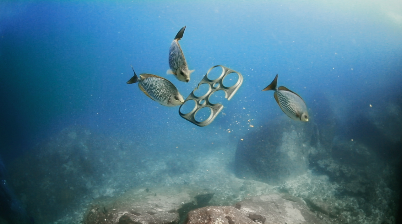 Edible six-pack rings from Saltwater Brewery