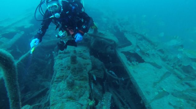 Arfon Engine and diver