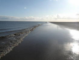 Gibraltar Point, Skegness, The Wash