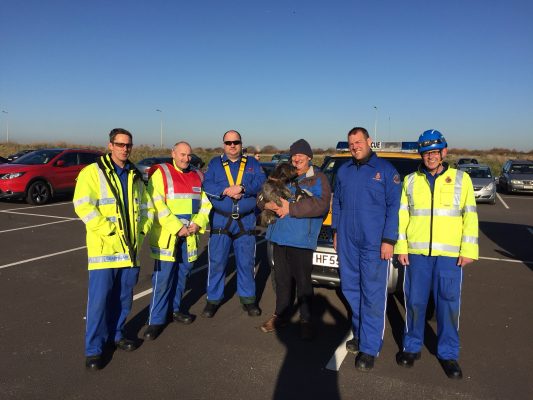 dog rescue in dorset