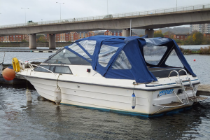 A white motor boat with a blue canopy