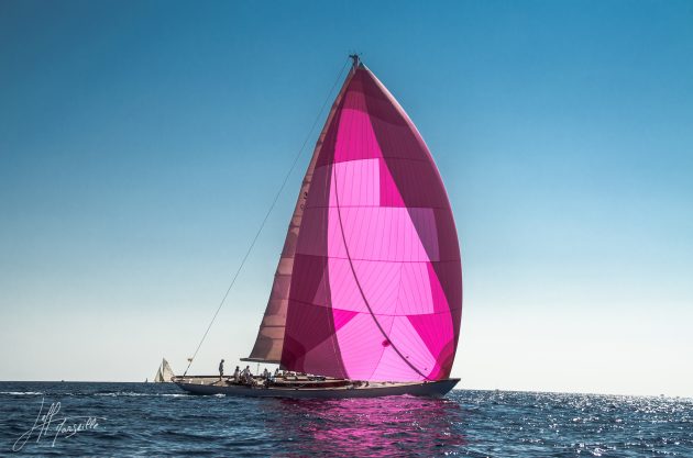 boat with pink sail