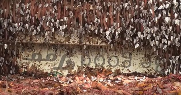 Wreck of the Be Good Too on a Scottish beach