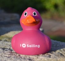 A purple rubber duck with ilovesailing on its chest