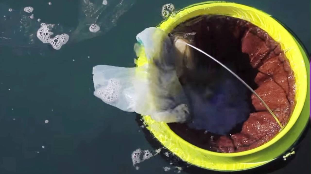 Seabin collecting rubbish in a marina