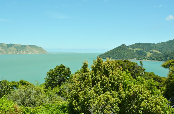 The blue waters of Manukau Harbour., New Zealand
