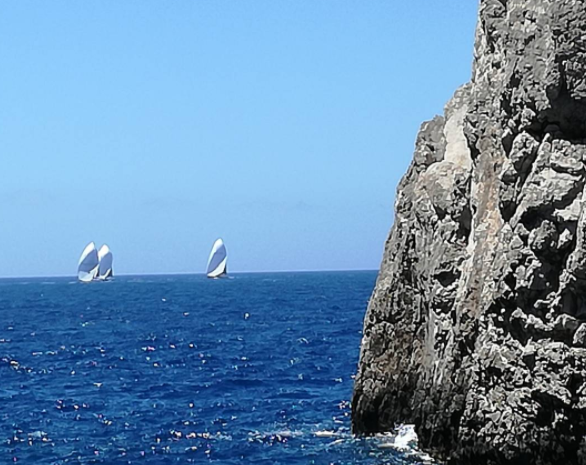 sailing boats at sea