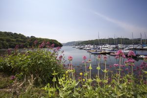 view of Noss-On-Dart Marina